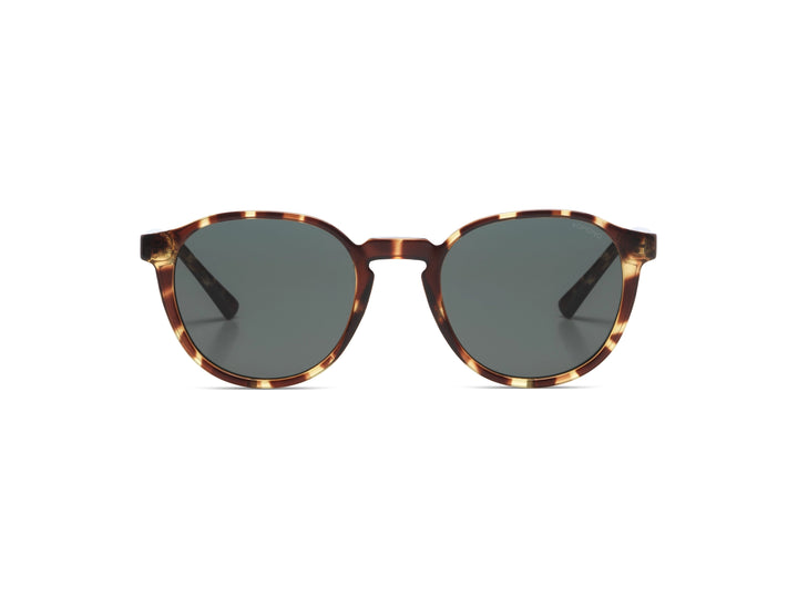 Liam Sunglasses - Tortoise